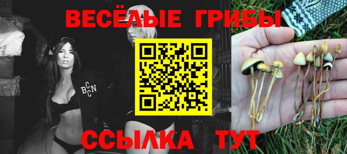 Топки  Псилоцибиновые грибы MAGIC MUSHROOMS  Вход с VPN 